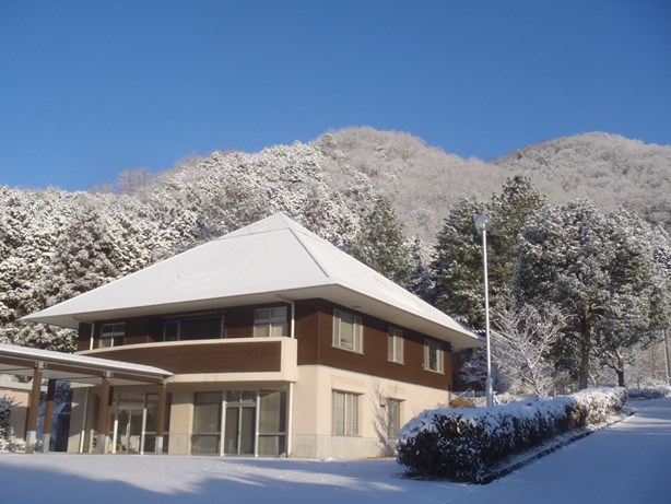 木材棟