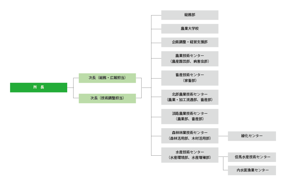組織図