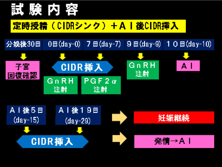 発表内容