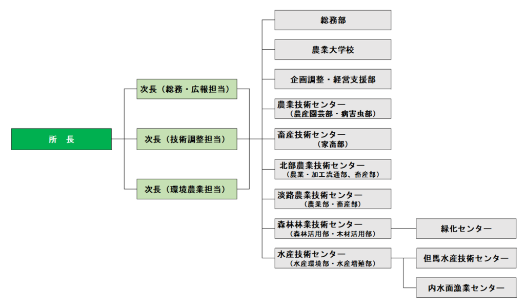 センターについて